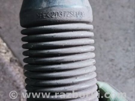 ФОТО Пыльник стойки задний правый для Subaru Outback V BS (14-21) Київ