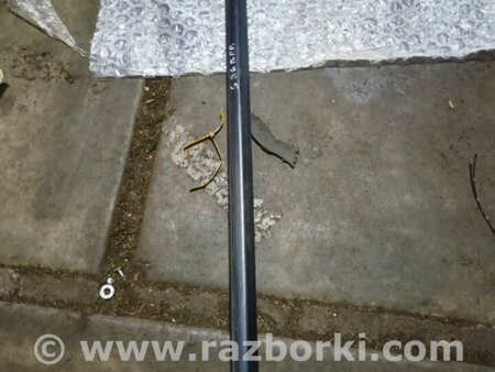 ФОТО Молдинг на дверь передний левый для KIA Sorento 1 BL (02-09) Київ