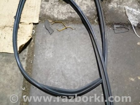 ФОТО Уплотнительная резинка передняя для Honda CR-V IV (11-18) Київ