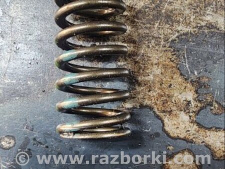 ФОТО Пружина клапана для Audi (Ауди) A6 C7 4G (11-18) Київ