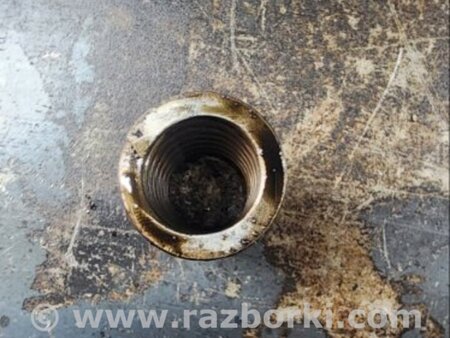 ФОТО Пружина клапана для Audi (Ауди) A6 C7 4G (11-18) Київ