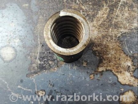 ФОТО Пружина клапана для Audi (Ауди) A6 C7 4G (11-18) Київ