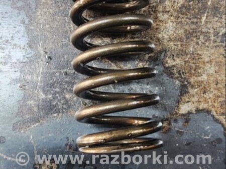 ФОТО Пружина клапана для Audi (Ауди) A6 C7 4G (11-18) Київ