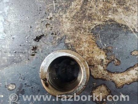 ФОТО Пружина клапана для Audi (Ауди) A6 C7 4G (11-18) Київ