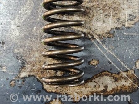ФОТО Пружина клапана для Audi (Ауди) A6 C7 4G (11-18) Київ