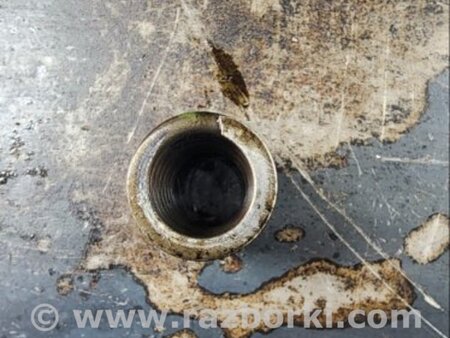 ФОТО Пружина клапана для Audi (Ауди) A6 C7 4G (11-18) Київ