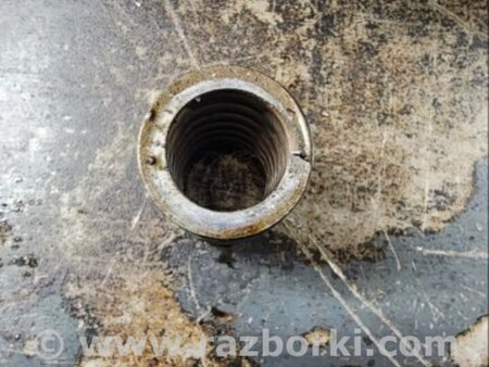 ФОТО Пружина клапана для Audi (Ауди) A6 C7 4G (11-18) Київ