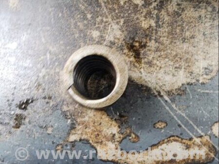 ФОТО Пружина клапана для Audi (Ауди) A6 C7 4G (11-18) Київ