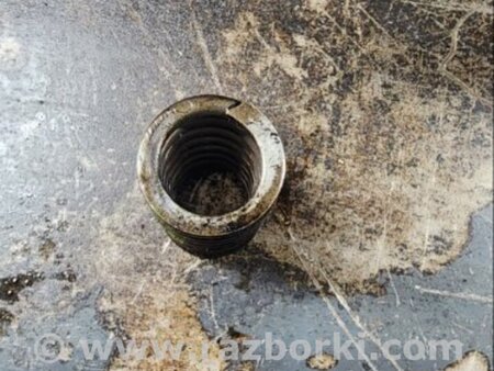 ФОТО Пружина клапана для Audi (Ауди) A6 C7 4G (11-18) Київ