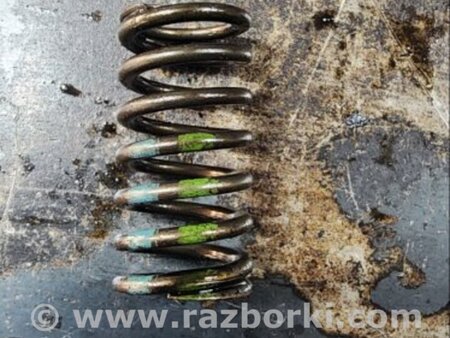 ФОТО Пружина клапана для Audi (Ауди) A6 C7 4G (11-18) Київ