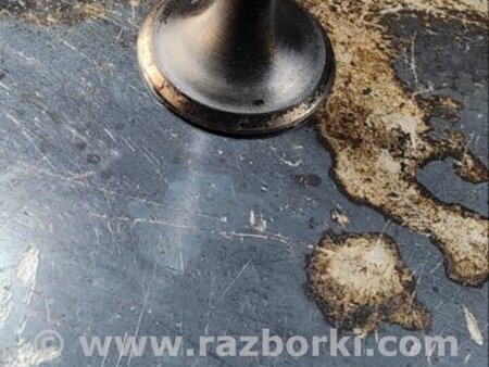 ФОТО Клапан выпускной для Audi (Ауди) A6 C7 4G (11-18) Київ