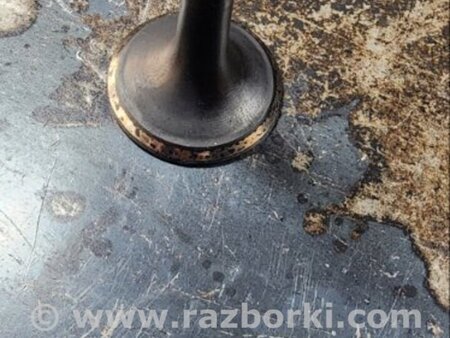 ФОТО Клапан выпускной для Audi (Ауди) A6 C7 4G (11-18) Київ