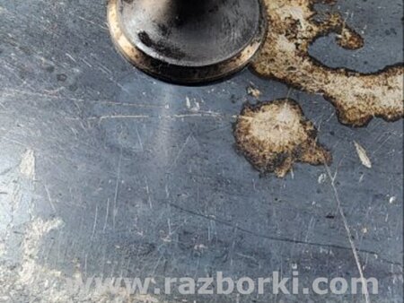 ФОТО Клапан выпускной для Audi (Ауди) A6 C7 4G (11-18) Київ