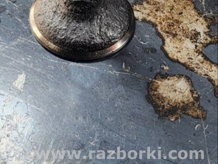 ФОТО Клапан впускной для Audi (Ауди) A6 C7 4G (11-18) Київ