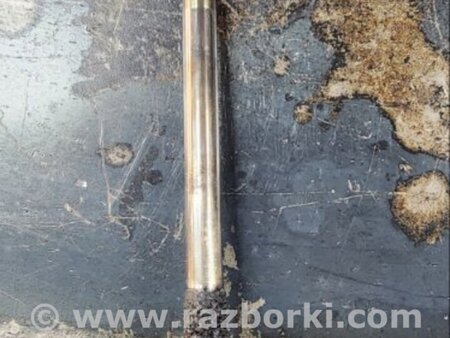 ФОТО Клапан впускной для Audi (Ауди) A6 C7 4G (11-18) Київ