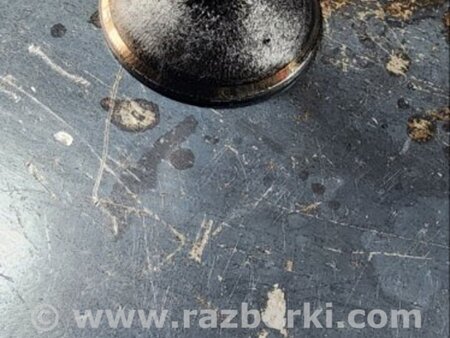 ФОТО Клапан впускной для Audi (Ауди) A6 C7 4G (11-18) Київ