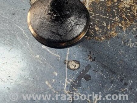 ФОТО Клапан впускной для Audi (Ауди) A6 C7 4G (11-18) Київ