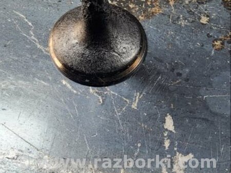 ФОТО Клапан впускной для Audi (Ауди) A6 C7 4G (11-18) Київ