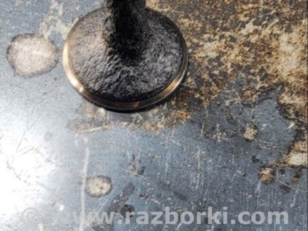 ФОТО Клапан впускной для Audi (Ауди) A6 C7 4G (11-18) Київ