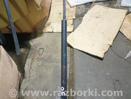 ФОТО Амортизатор капота для Subaru Outback V BS (14-21) Київ