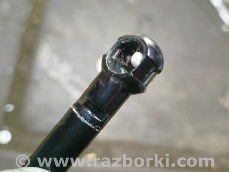 ФОТО Амортизатор багажника для Subaru Outback V BS (14-21) Київ