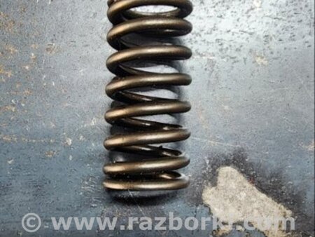 ФОТО Пружина клапана для Hyundai ix35 I LM/EL Tucson (10-17) Київ