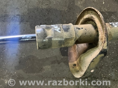 ФОТО Амортизатор передний правый для Subaru Outback IV BM/BR (09-14) Київ