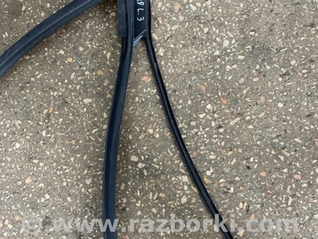 ФОТО Уплотнительная резинка задняя левая для Subaru Outback V BS (14-21) Київ