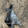 ФОТО Кронштейн для Subaru Forester SG Киев