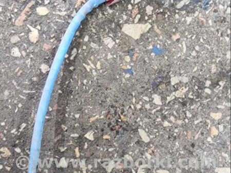 ФОТО Датчик кислорода задний для Subaru Tribeca B9 (05-08) Київ