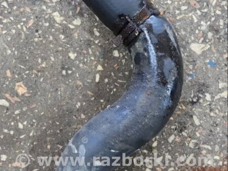 ФОТО Патрубок Радиатора левый для Subaru Tribeca B9 (05-08) Київ