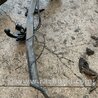 ФОТО Фаркоп для KIA Sorento Киев
