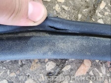 ФОТО Уплотнительная резинка передняя левая для Subaru Tribeca B9 (05-08) Київ