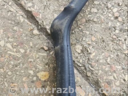 ФОТО Уплотнительная резинка задняя правая для Subaru Tribeca B9 (05-08) Київ