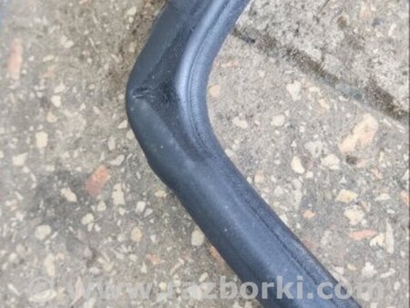 ФОТО Уплотнительная резинка задняя левая для Subaru Tribeca B9 (05-08) Київ