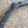 ФОТО Уплотнительная резинка задняя левая для Subaru Tribeca B9 (05-08) Київ