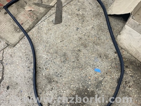 ФОТО Уплотнительная резинка передняя правая для Subaru Tribeca B9 (05-08) Київ