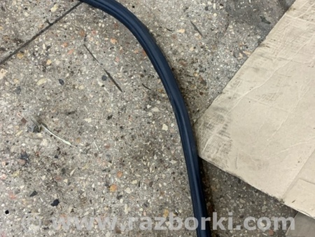 ФОТО Уплотнительная резинка передняя правая для Subaru Tribeca B9 (05-08) Київ