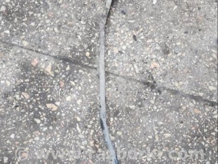 ФОТО Стабилизатор задний для Subaru Tribeca B9 (05-08) Київ