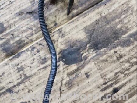 ФОТО Датчик распредвала для Audi (Ауди) A6 C7 4G (11-18) Київ