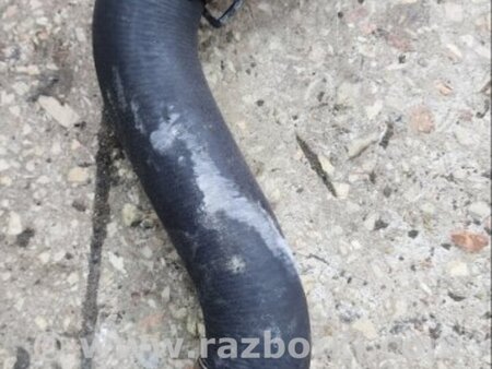 ФОТО Трубка системы охлаждения для Subaru Tribeca B9 (05-08) Київ