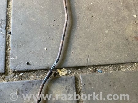 ФОТО Стабилизатор задний для Subaru Tribeca B9 (05-08) Київ