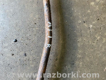 ФОТО Стабилизатор задний для Subaru Tribeca B9 (05-08) Київ