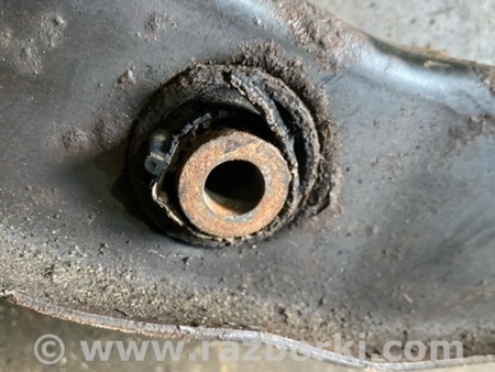 ФОТО Рычаг задний правый для Subaru Tribeca B9 (05-08) Київ