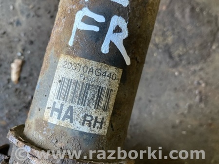 ФОТО Амортизатор передний правый для Subaru Legacy IV BL/BP (03-09) Київ