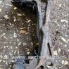 ФОТО Скоба суппорта передняя правая для Subaru Legacy IV BL/BP (03-09) Київ