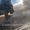 ФОТО Дверь передняя правая для KIA Sorento 1 BL (02-09) Київ