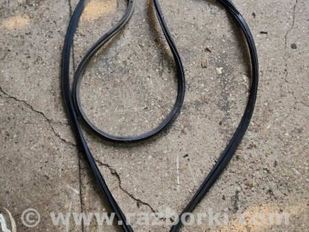 ФОТО Уплотнительная резинка передняя левая для Subaru Tribeca B9 (05-08) Київ