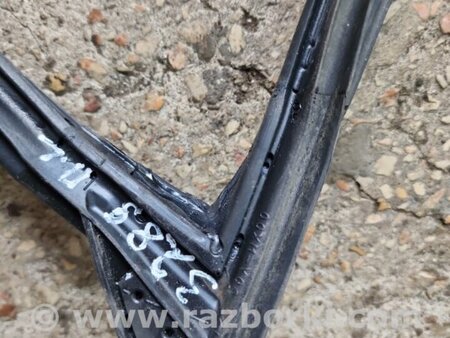 ФОТО Уплотнительная резинка передняя левая для Subaru Tribeca B9 (05-08) Київ