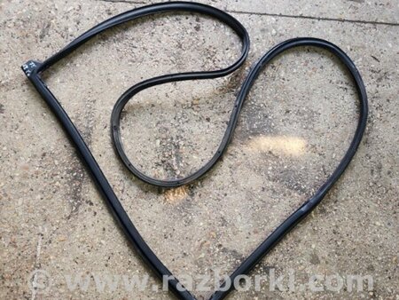 ФОТО Уплотнительная резинка задняя левая для Subaru Tribeca B9 (05-08) Київ